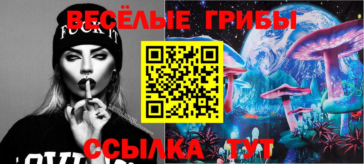Псилоцибиновые грибы мухоморы  Вход с VPN  Сухой Лог 